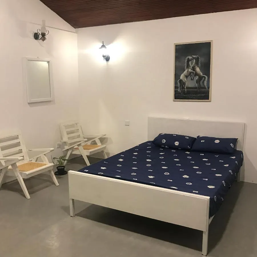 Hostel Miracle Trail Kandy